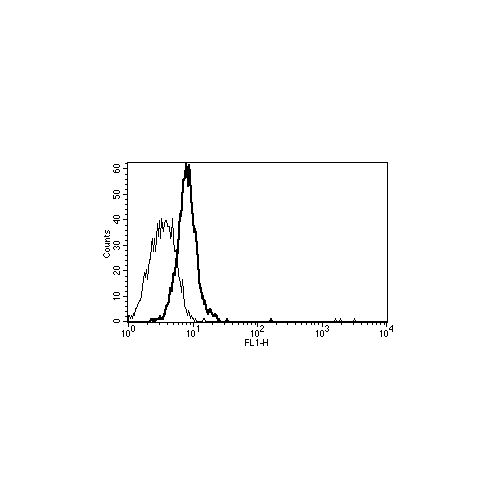 CD130 antibody (B-K5)