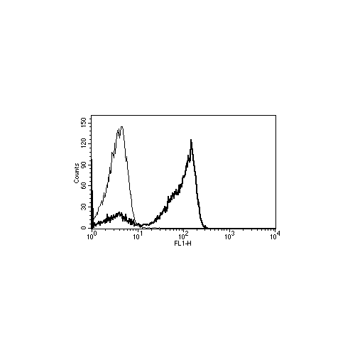 CD2 antibody (B-E2)