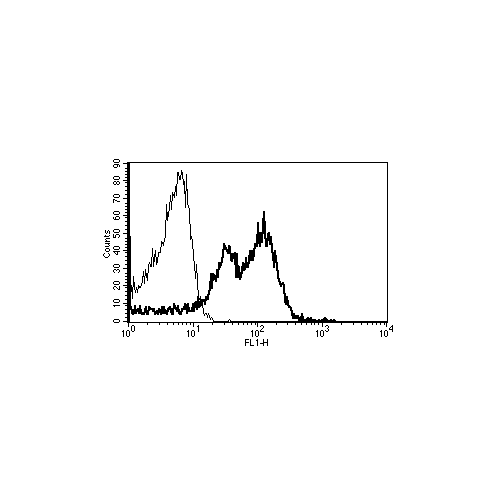 CD29 antibody (B-D15)