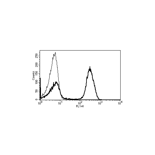 CD3 antibody (B-B11)