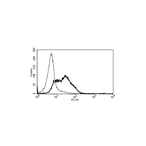 CD82 antibody (B-L2)