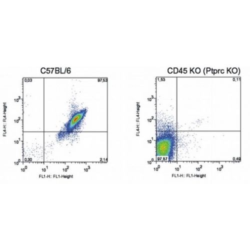 CD45 antibody (EM-05)