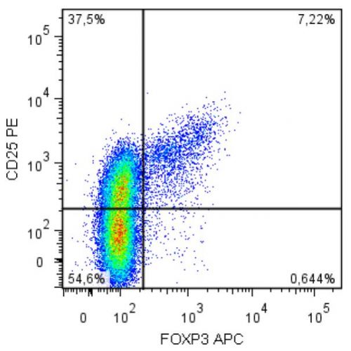 FoxP3 antibody (3G3)