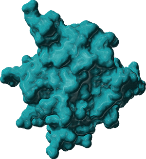 Cytokine